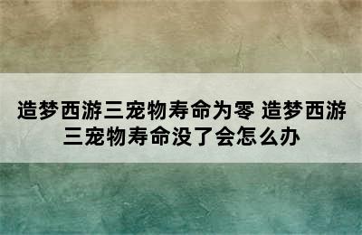 造梦西游三宠物寿命为零 造梦西游三宠物寿命没了会怎么办